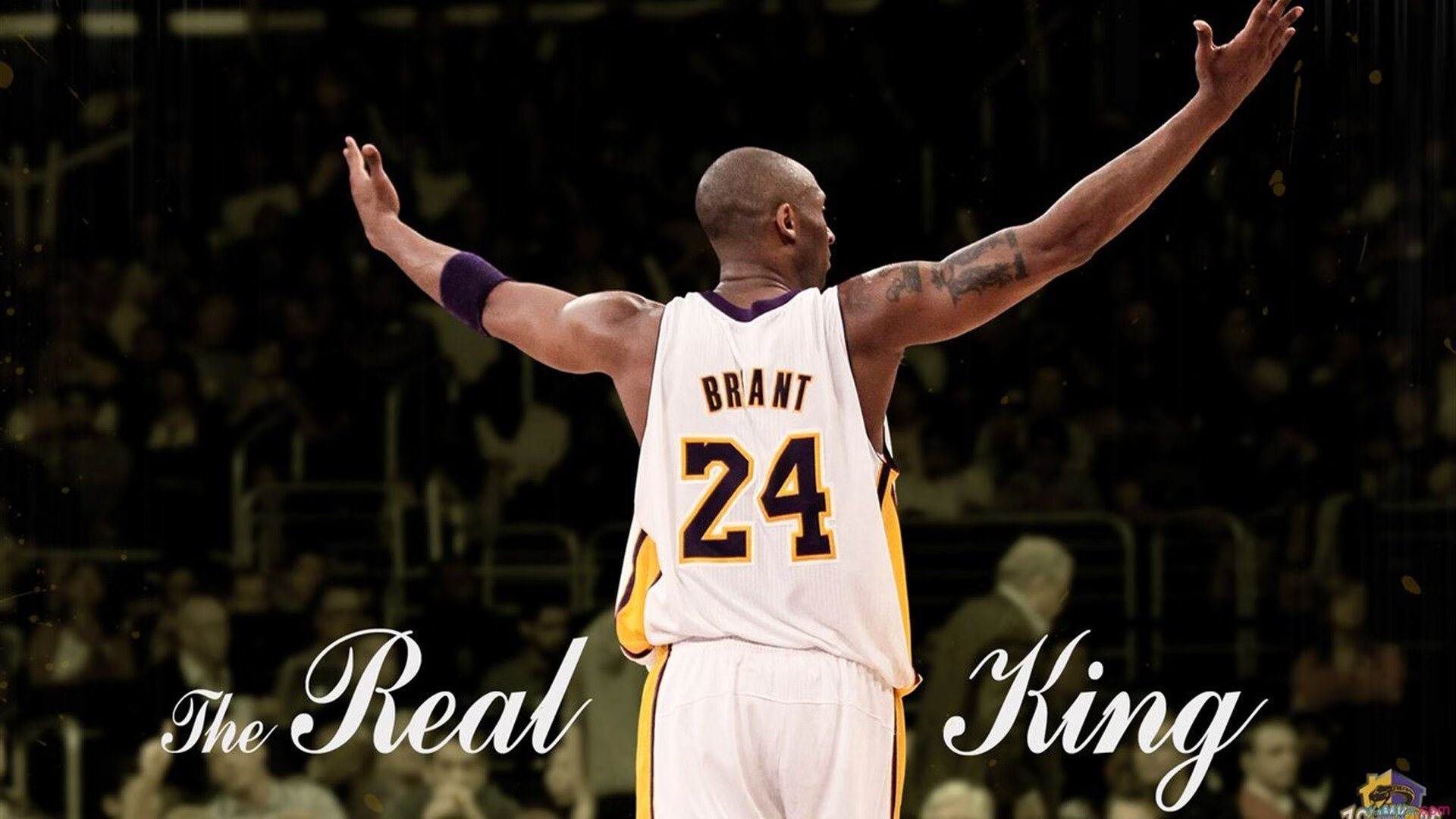 魔术队后卫获得全明星票选资格，成为球队骄傲，魔术队新秀